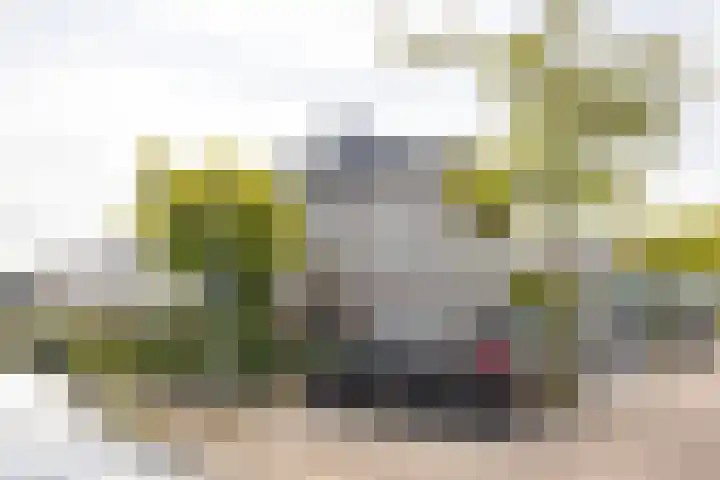 Dennewitjeshof 16 Utrecht thumbnail 45