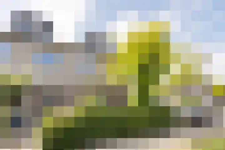 Dennewitjeshof 16 Utrecht thumbnail 46