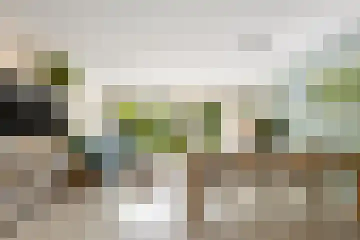 Dennewitjeshof 16 Utrecht thumbnail 9
