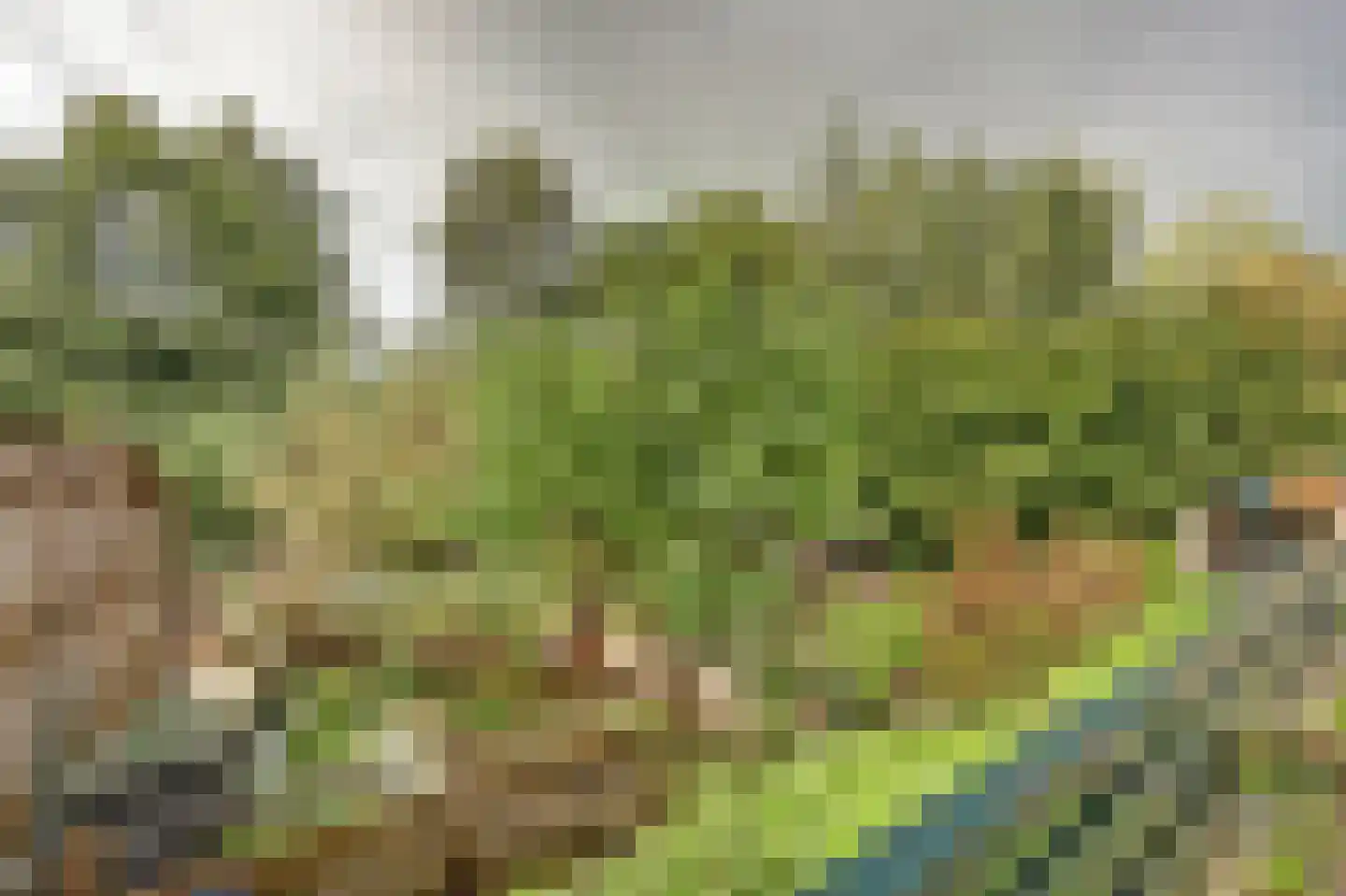 Dennis Leestraat 57 Stampersgat thumbnail 36