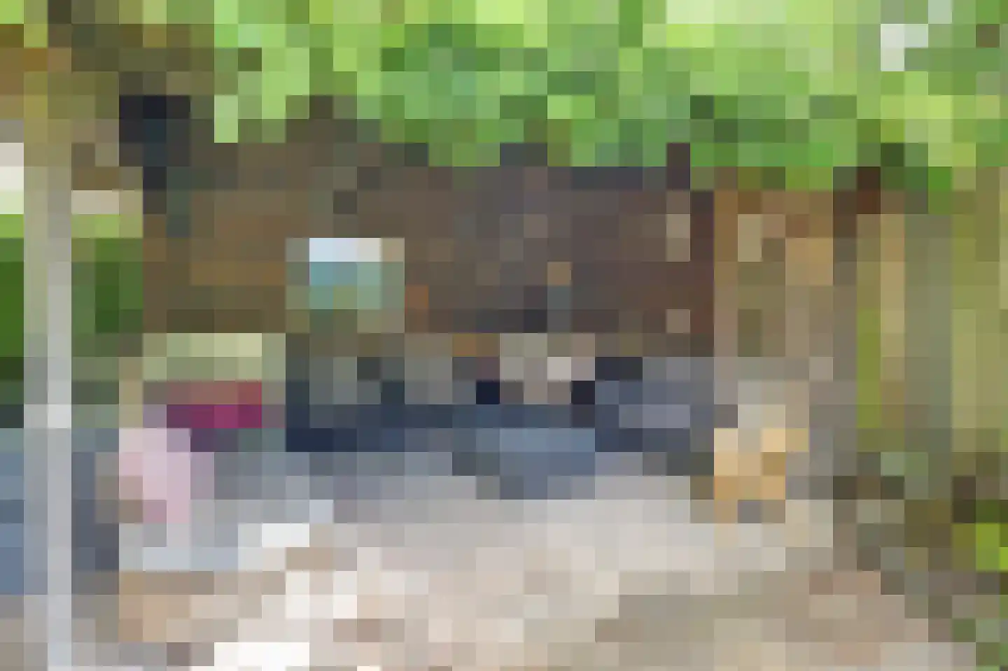 Dennis Leestraat 57 Stampersgat thumbnail 41