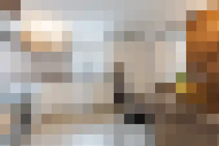 Dennis Leestraat 87 Stampersgat thumbnail 16