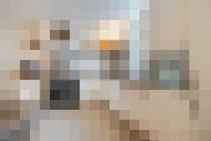 Dennis Leestraat 87 Stampersgat thumbnail 18