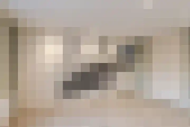 Dennis Leestraat 87 Stampersgat thumbnail 31