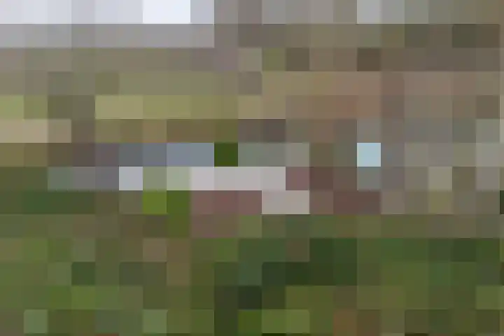 Dennis Leestraat 87 Stampersgat thumbnail 47