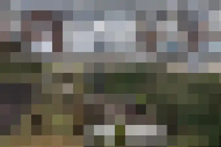Dennis Leestraat 87 Stampersgat thumbnail 52
