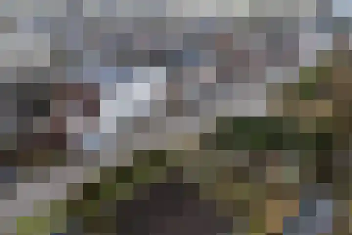 Dennis Leestraat 87 Stampersgat thumbnail 55