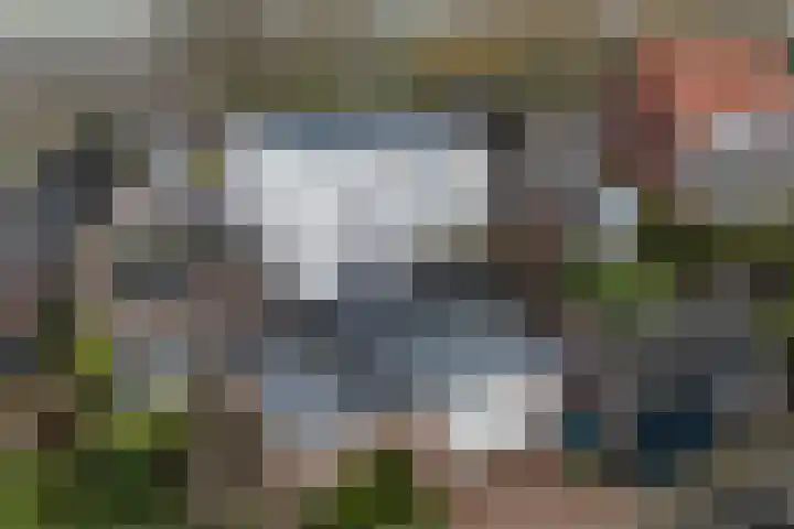 Dennis Leestraat 87 Stampersgat thumbnail 62