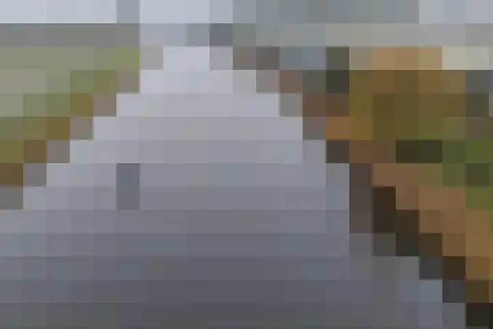 Dennis Leestraat 87 Stampersgat thumbnail 65