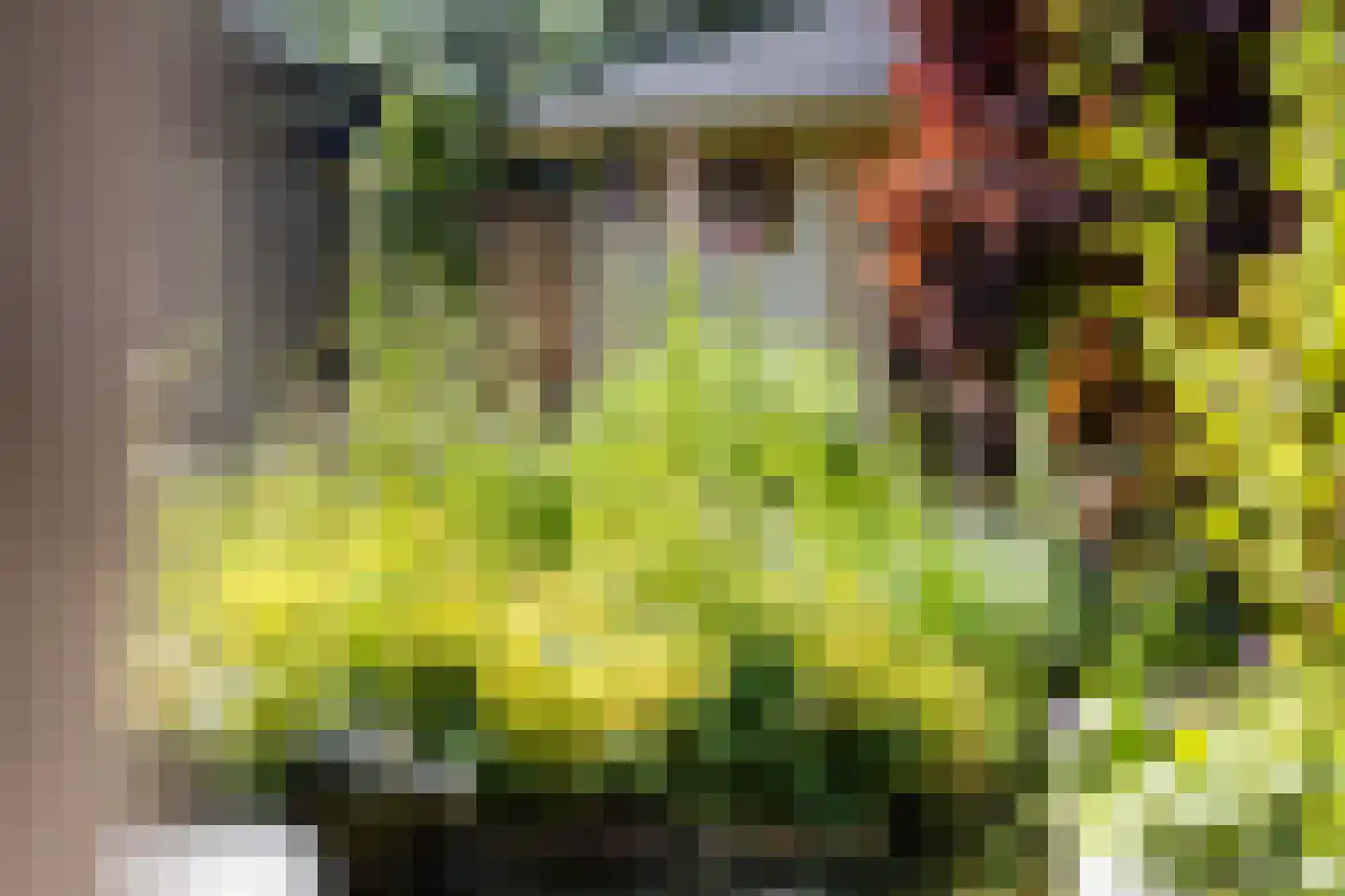 Denpasarstraat 37 Dordrecht thumbnail 33