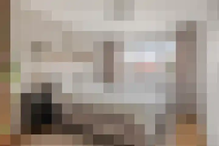 Denstraat 20 Amersfoort thumbnail 18