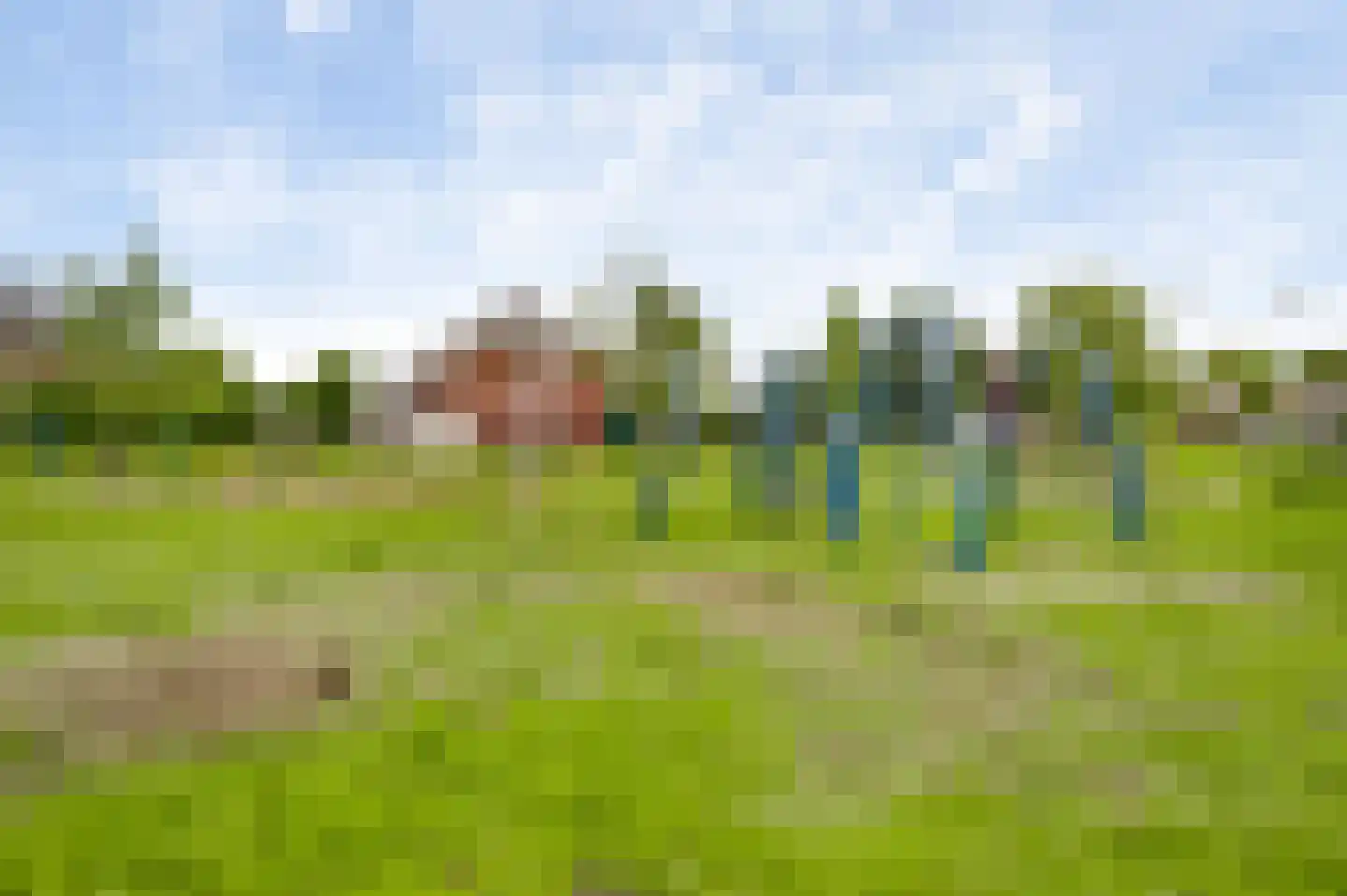 Dentjesweg 14 Horst thumbnail 15
