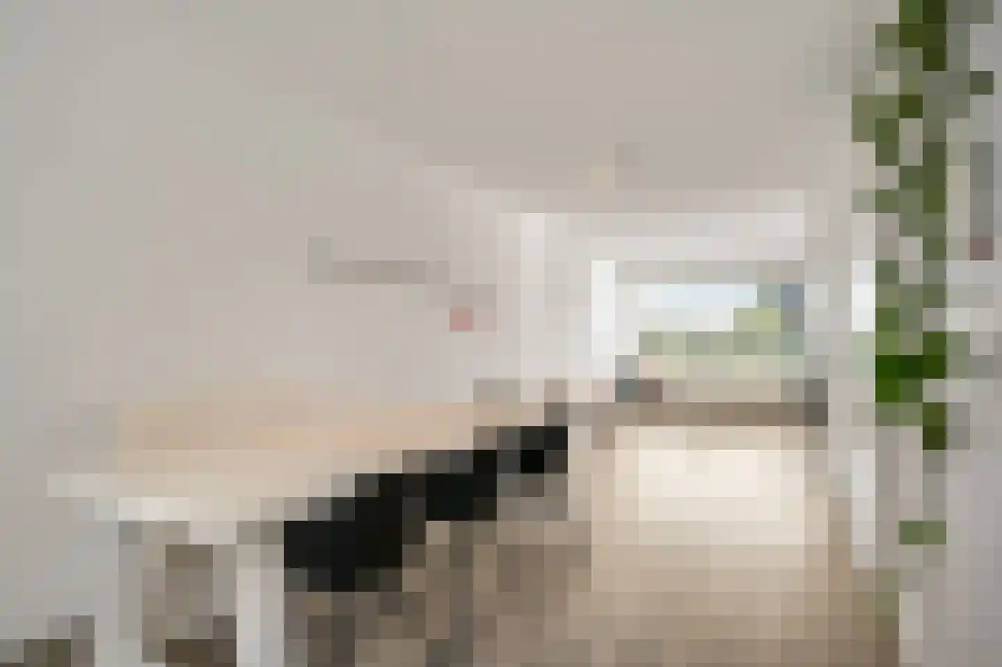 Dentjesweg 14 Horst thumbnail 27