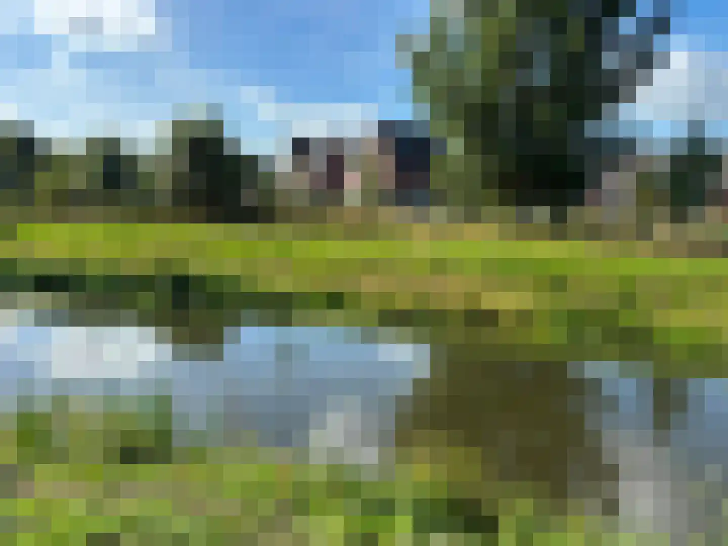 Dentjesweg 14 Horst thumbnail 53