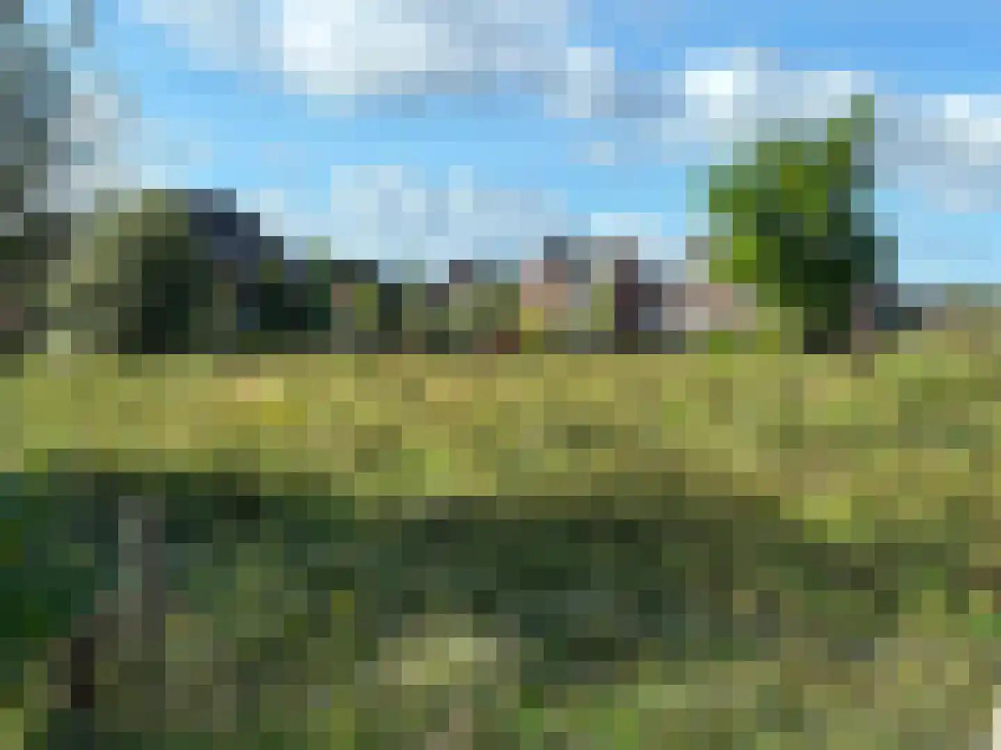 Dentjesweg 14 Horst thumbnail 56