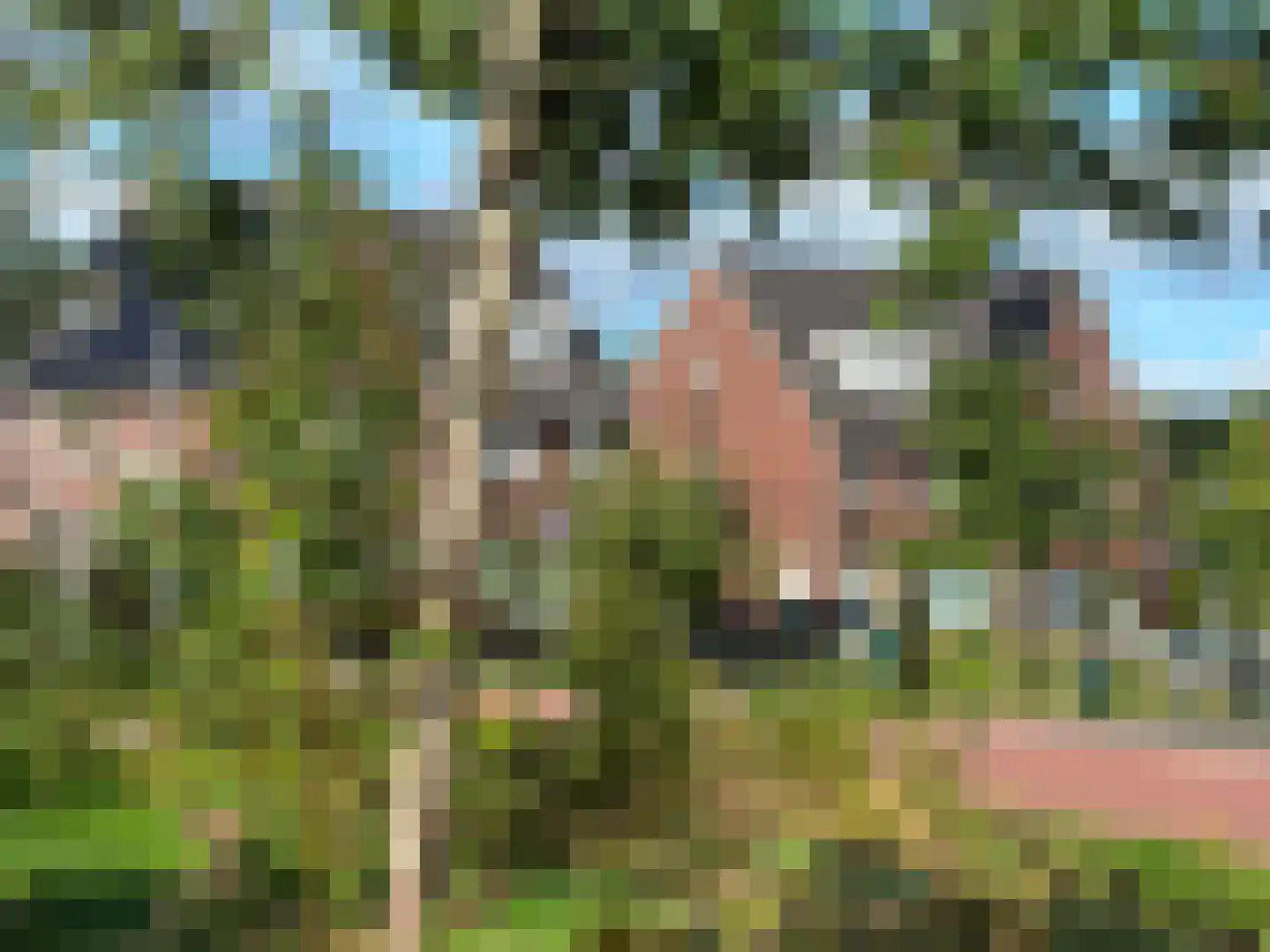 Dentjesweg 14 Horst thumbnail 57