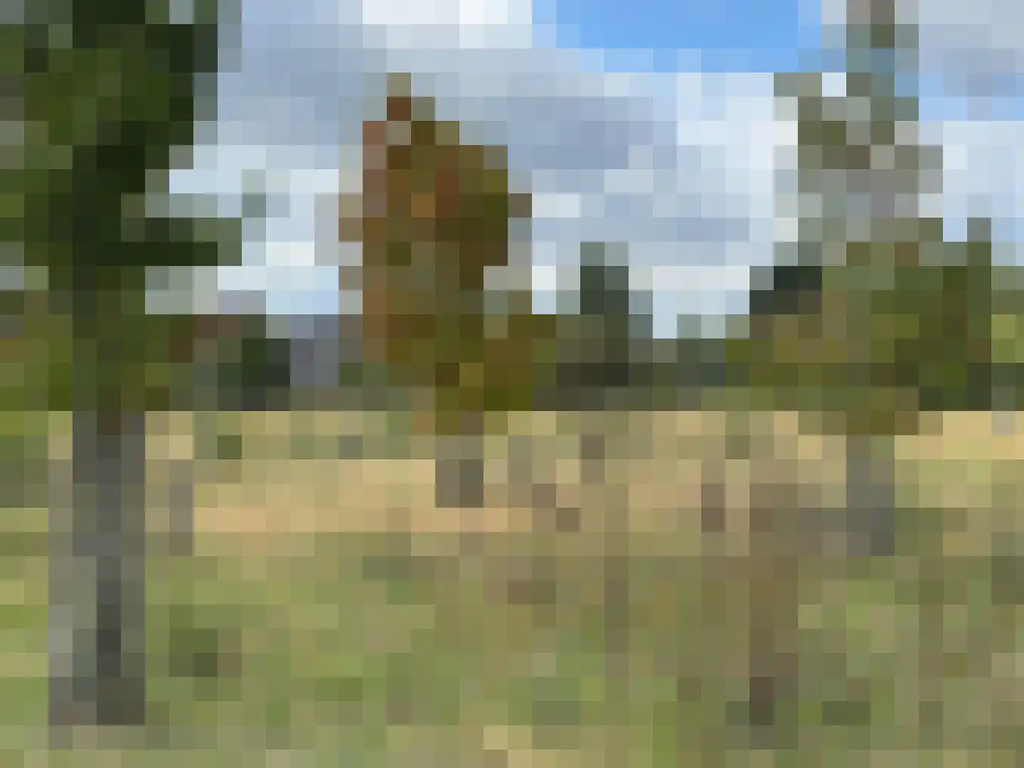 Dentjesweg 14 Horst thumbnail 58