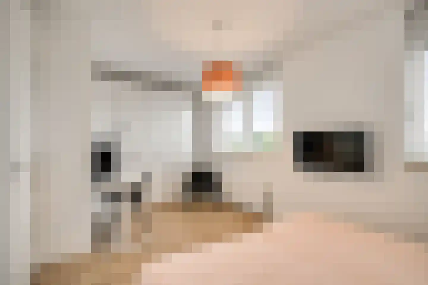 Dentjesweg 14 Horst thumbnail 6