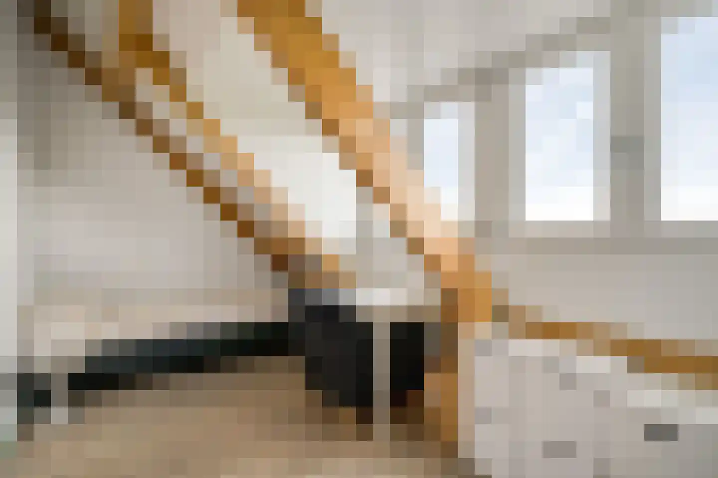 Dentjesweg 14 Horst thumbnail 8