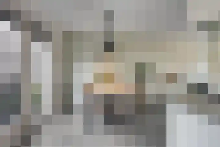 Dentjesweg 28 Horst thumbnail 16
