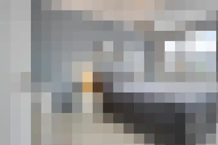 Dentjesweg 28 Horst thumbnail 20