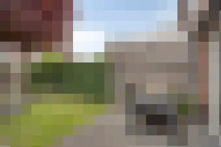 Dentjesweg 28 Horst thumbnail 29