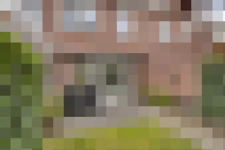 Dentjesweg 28 Horst thumbnail 31