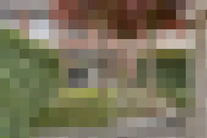 Dentjesweg 28 Horst thumbnail 32