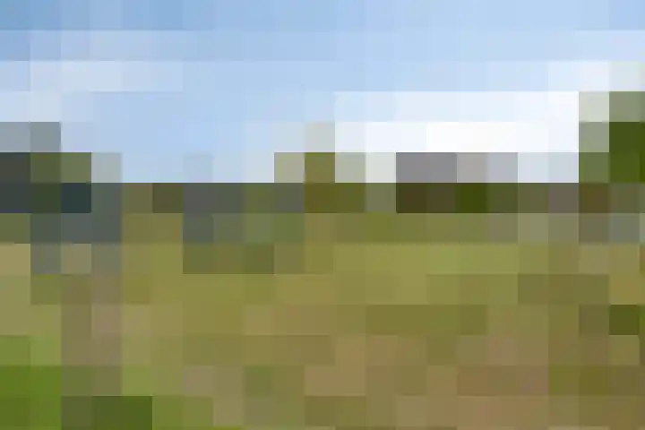 Dentjesweg 28 Horst thumbnail 35