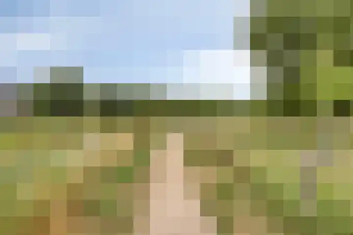 Dentjesweg 28 Horst thumbnail 36