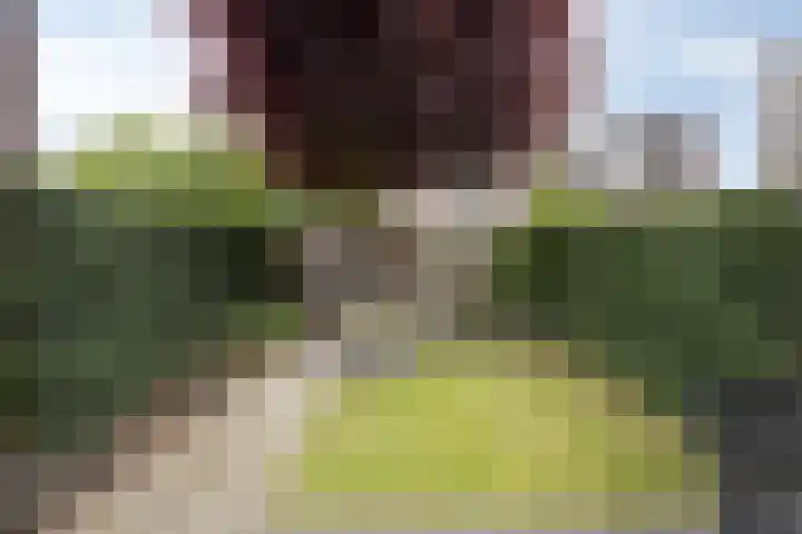Dentjesweg 28 Horst thumbnail 4