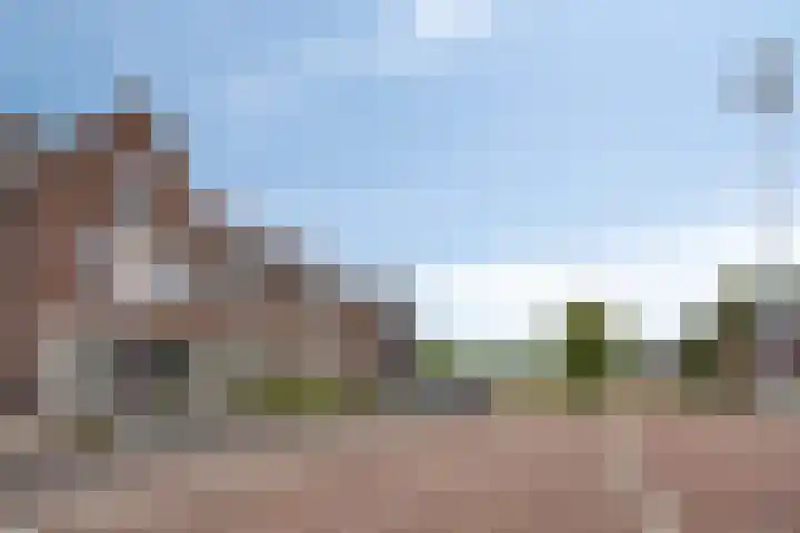 Dentjesweg 28 Horst thumbnail 5