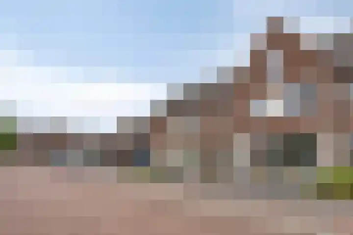 Dentjesweg 28 Horst thumbnail 7
