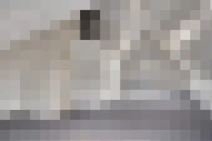 Denverplein 2 Tilburg thumbnail 24