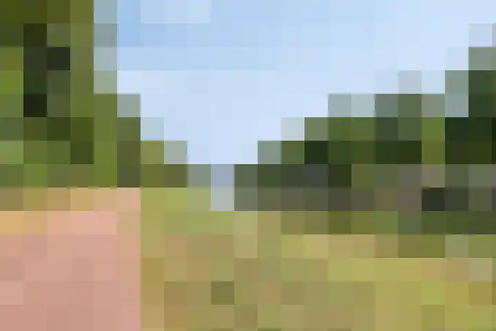 Denverplein 2 Tilburg thumbnail 34