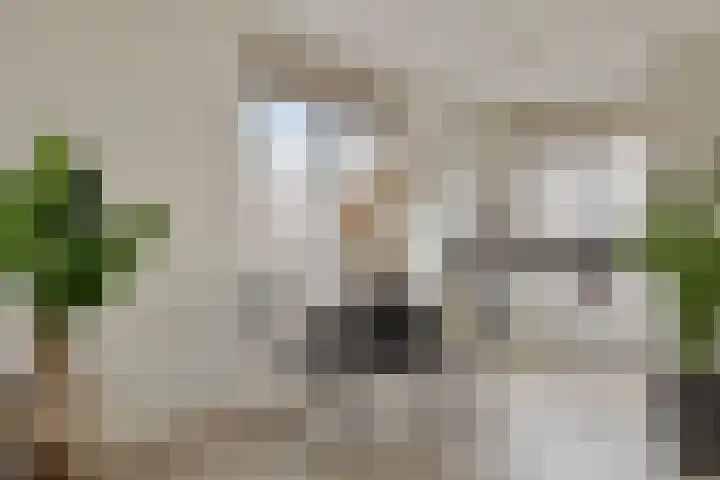 Denverplein 7 Tilburg thumbnail 14