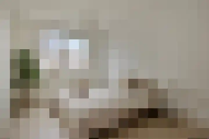 Denverplein 7 Tilburg thumbnail 19