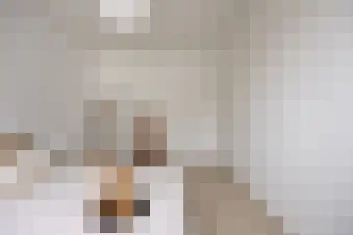 Denverplein 7 Tilburg thumbnail 20