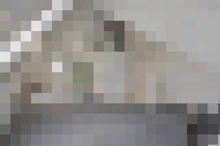 Denverplein 7 Tilburg thumbnail 29