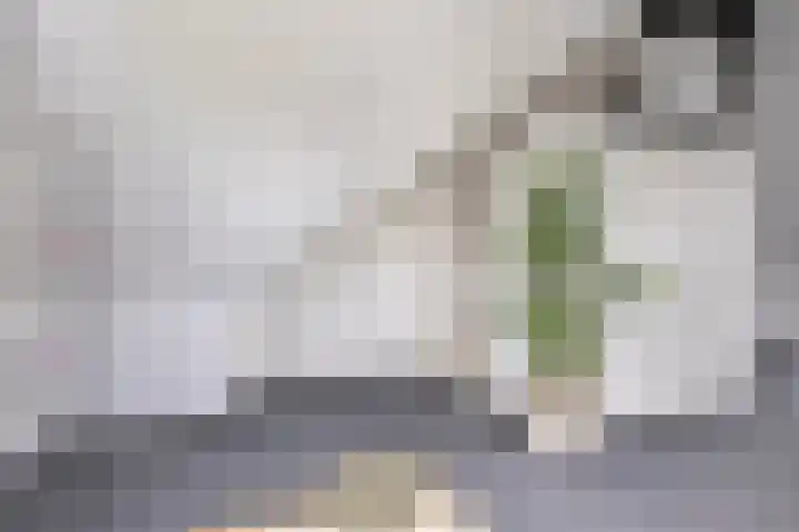 Denverplein 7 Tilburg thumbnail 31