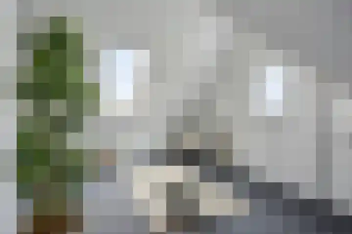 Denverplein 7 Tilburg thumbnail 32