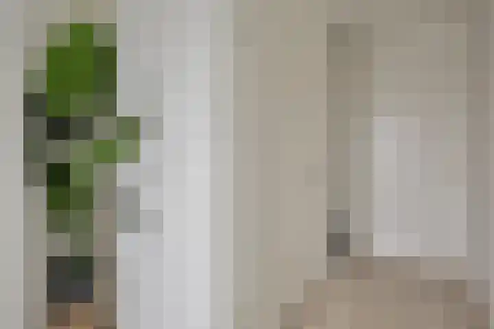 Denverplein 7 Tilburg thumbnail 7
