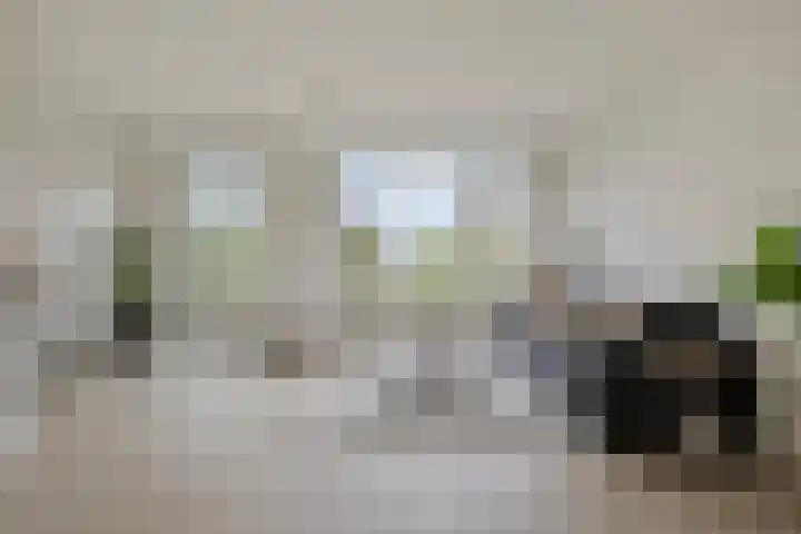 Denverplein 7 Tilburg thumbnail 9
