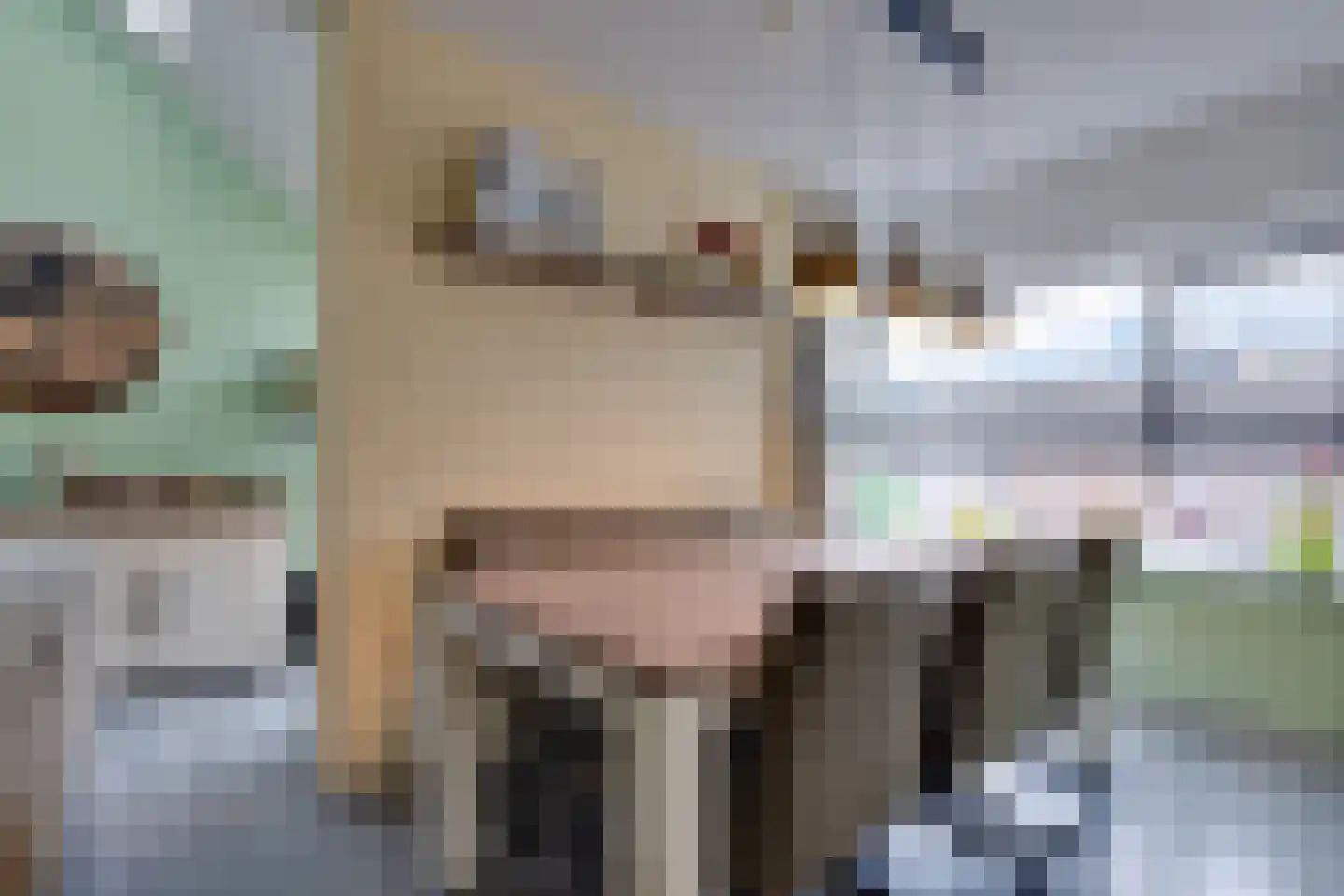 Departementsstraat 3 Uithuizen thumbnail 11