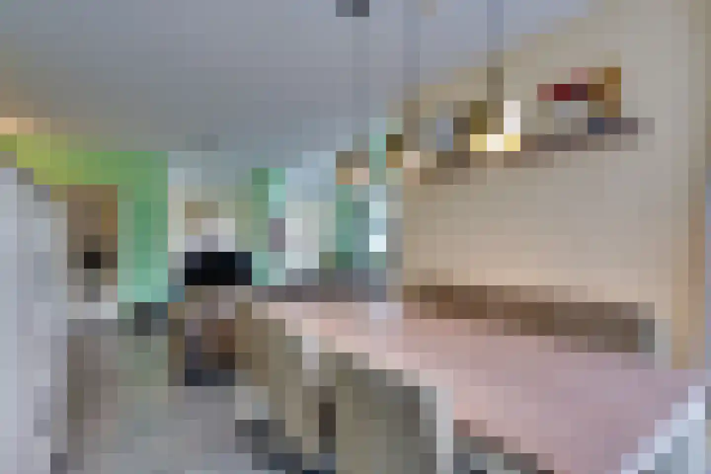 Departementsstraat 3 Uithuizen thumbnail 12