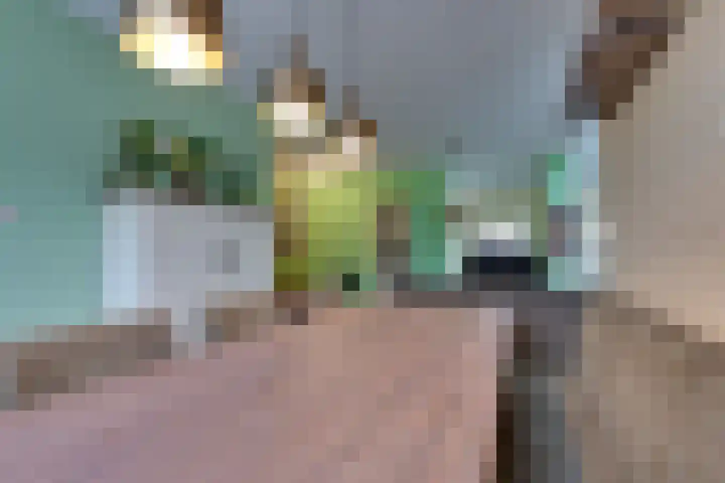 Departementsstraat 3 Uithuizen thumbnail 13