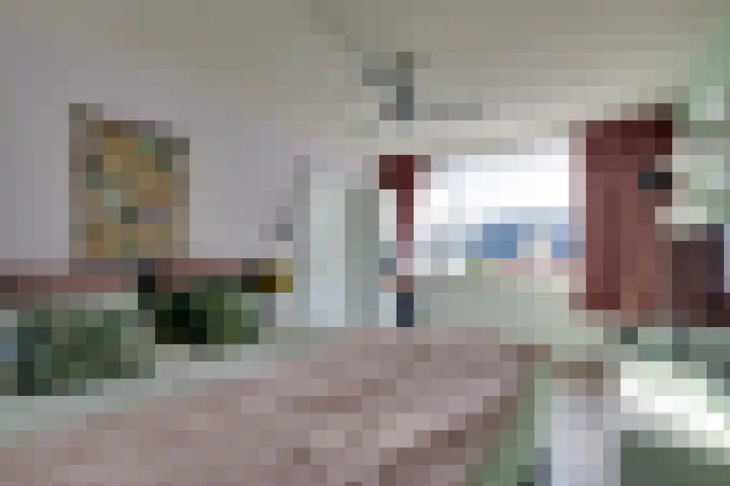 Departementsstraat 3 Uithuizen thumbnail 30