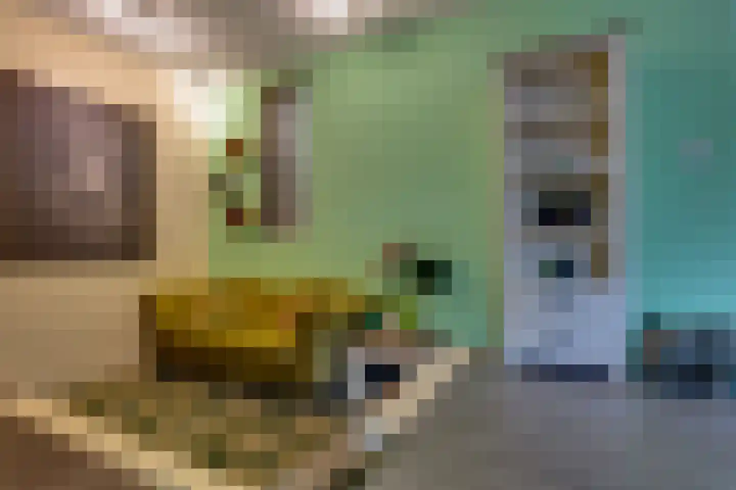 Departementsstraat 3 Uithuizen thumbnail 5