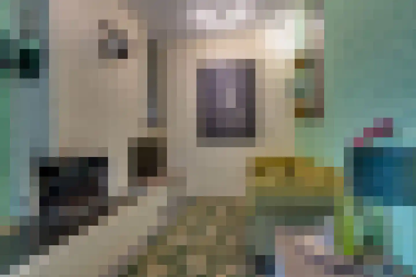 Departementsstraat 3 Uithuizen thumbnail 6
