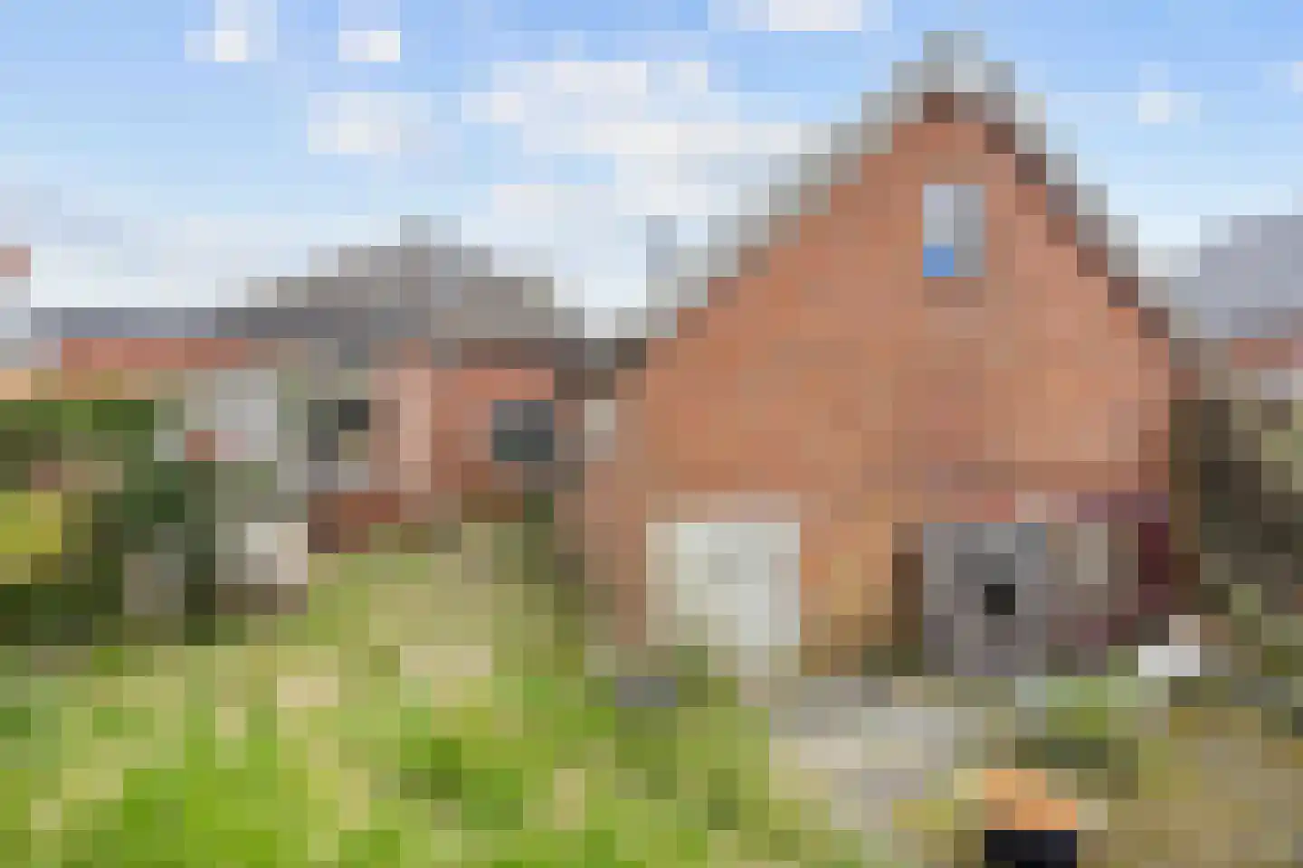 Departementsstraat 5 Uithuizen thumbnail 32